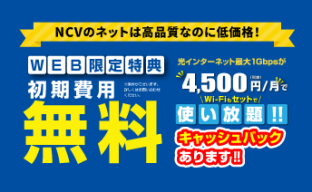 まとめてお得な かいてき光 株式会社ニューメディア