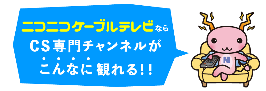 Tv Contents 株式会社ニューメディア