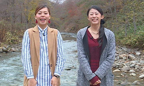 街ナカ情報発信 てけてけおじゃマップ 株式会社ニューメディア