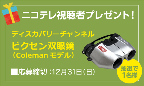 ビクセン双眼鏡