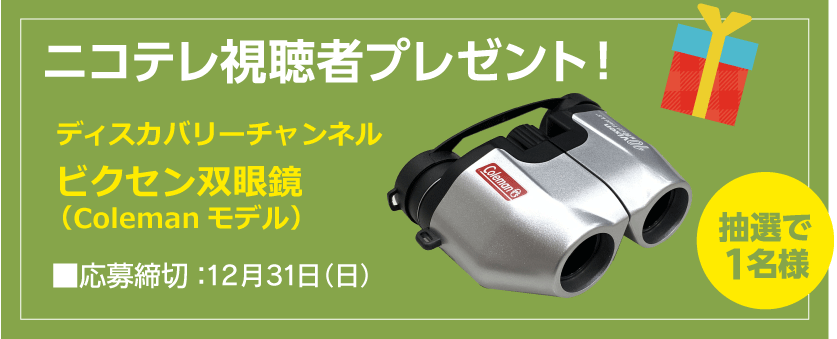 ビクセン双眼鏡