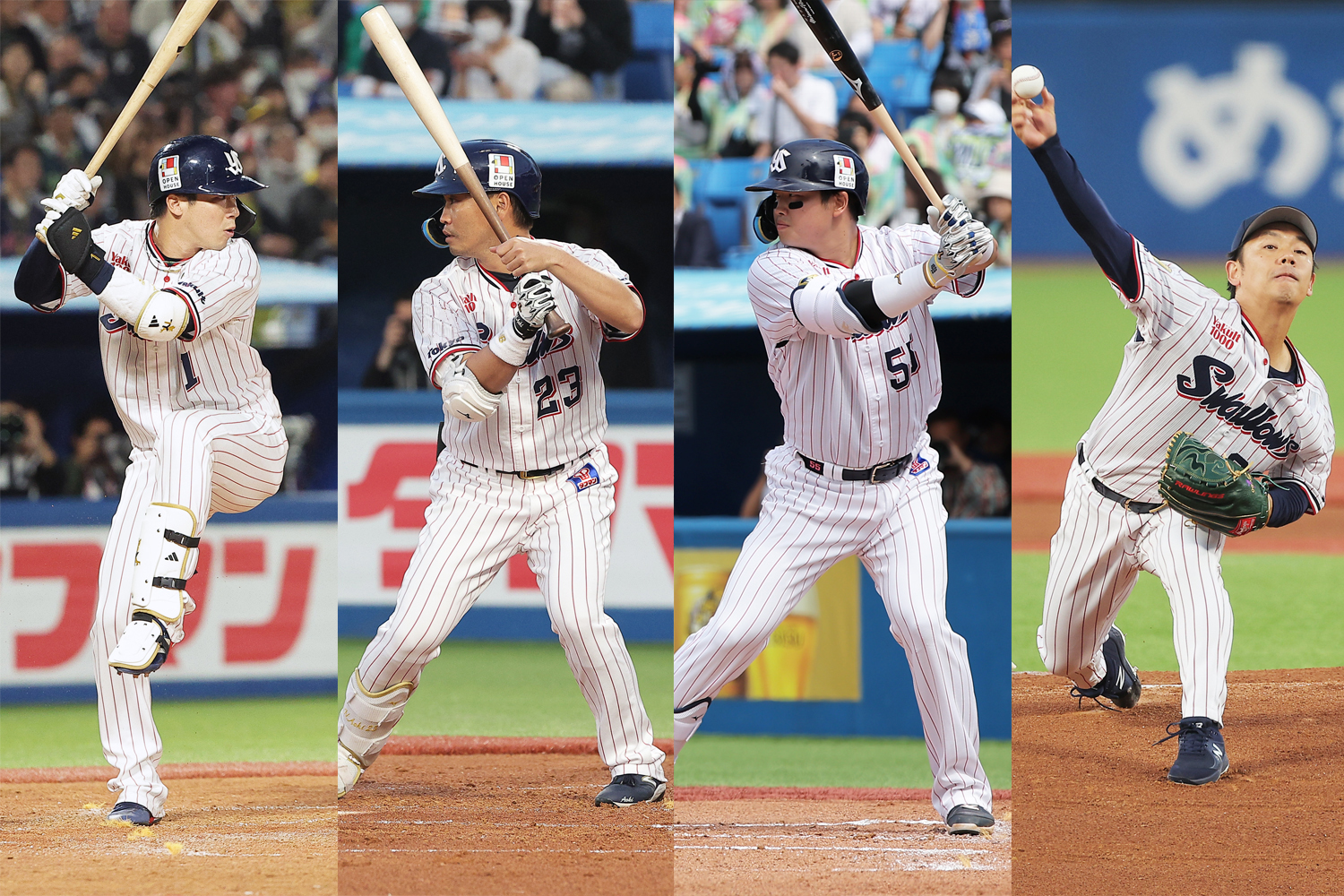 SWALLOWS BASEBALL L!VE ２０２４