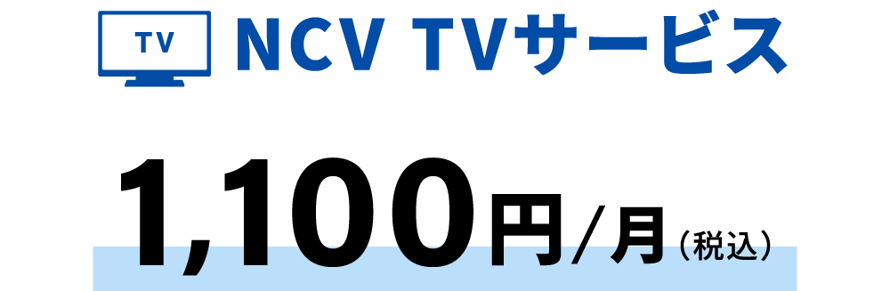 TVサービス料金