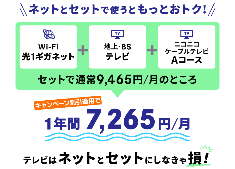 ネットとセットで使うともっとおトク！