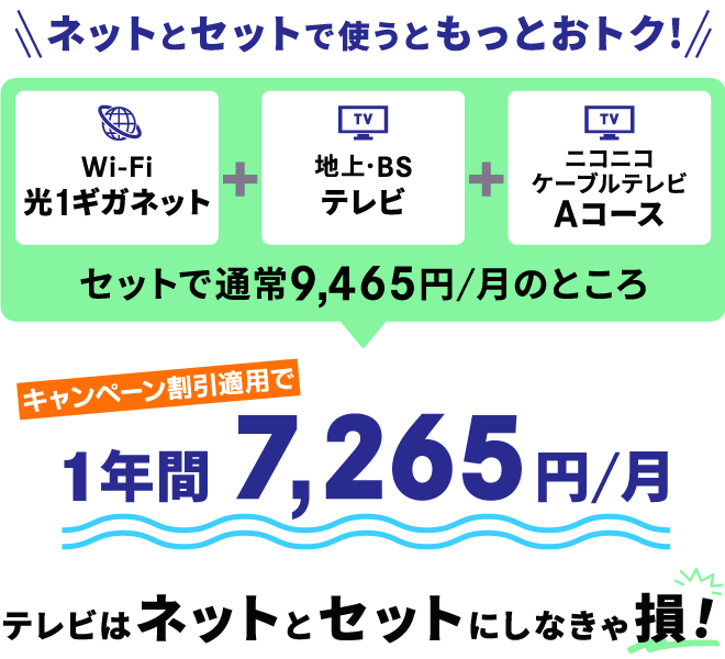 ネットとセットで使うともっとおトク！