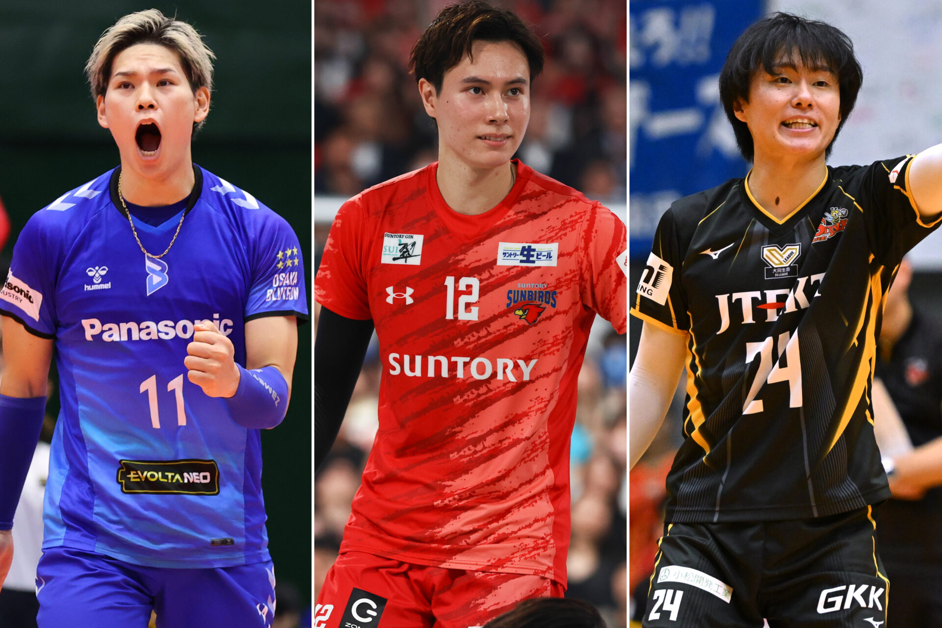 大同生命SVリーグ 2024-25