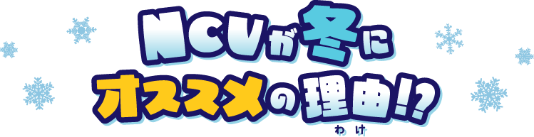 NCVが冬にオススメの理由!?