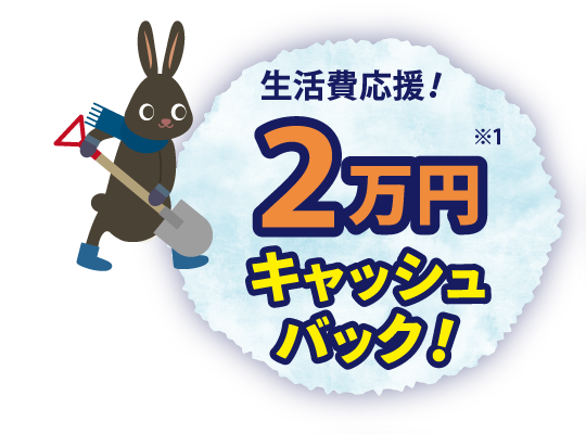 2万円キャッシュバック