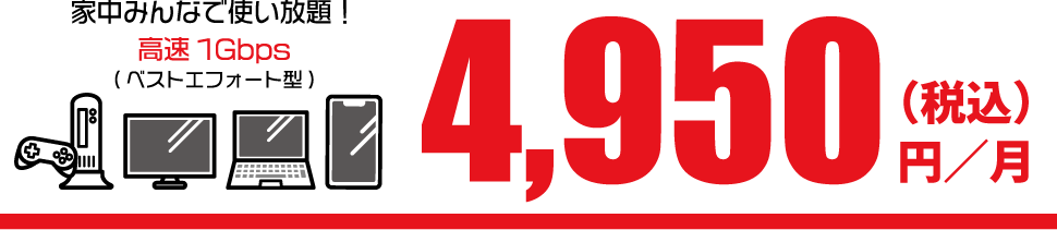 家中みんなで使い放題　4,950円(税込)／月