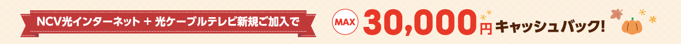 冬に備えてNCV！キャンペーン｜現在NCVをご利用中のお客さまにも素敵なプレゼントが当たるチャンス！　2025年11月30日まで