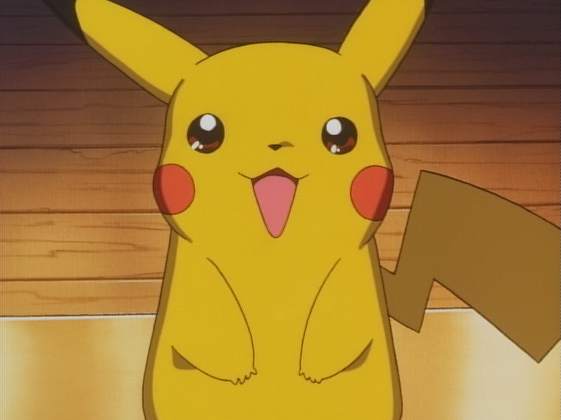 ピカチュウのふゆやすみ