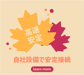 自社設備で安定接続