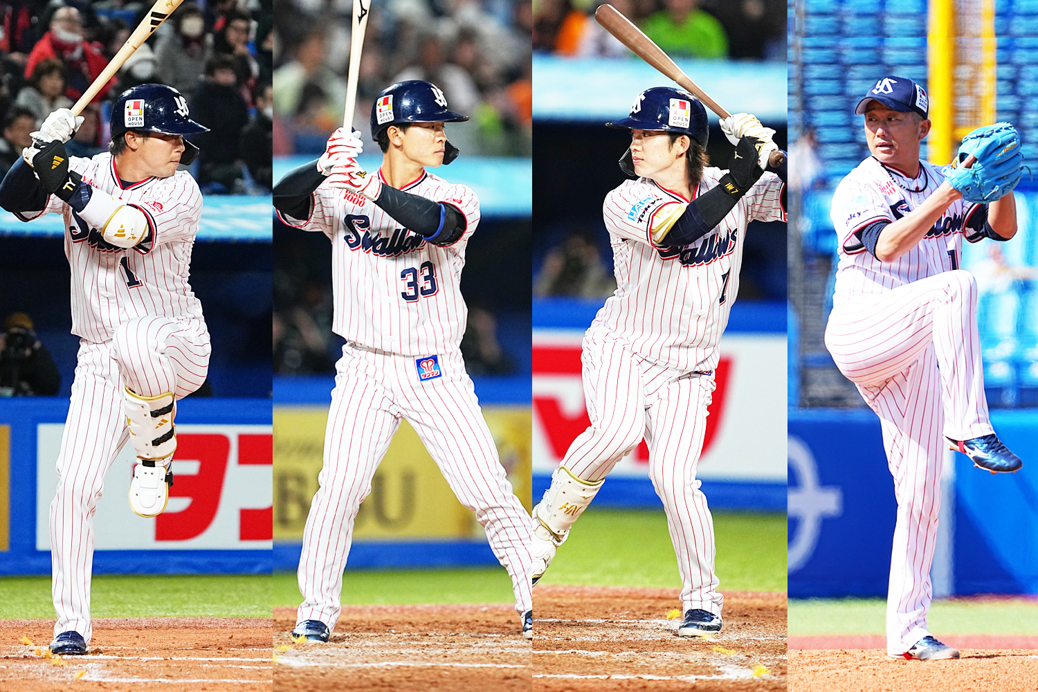 SWALLOWS BASEBALL L!VE 2026