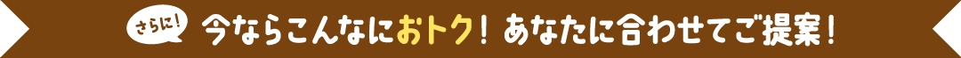 たとえばこんなにおトク! 使い方いろいろ! NCV!