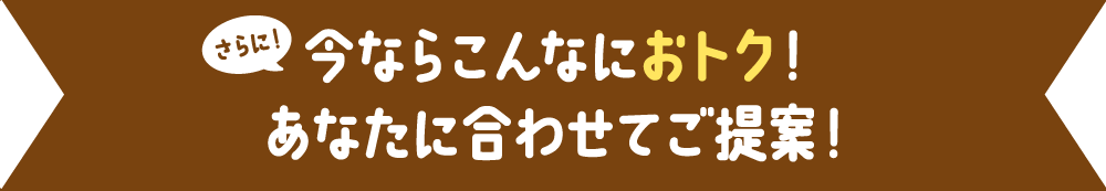 たとえばこんなにおトク! 使い方いろいろ! NCV!