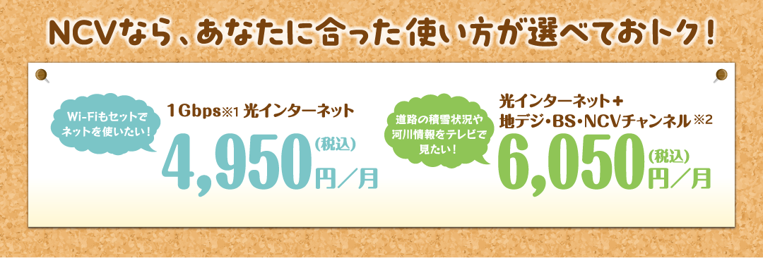 1Gbps光インターネット 4,950円/月(税込)　　光インターネット+地デジ・BS・NCVチャンネル 6,050円/月(税込)