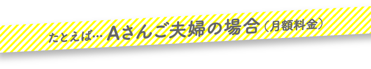 たとえば... Aさんご夫婦の場合(月額料金)