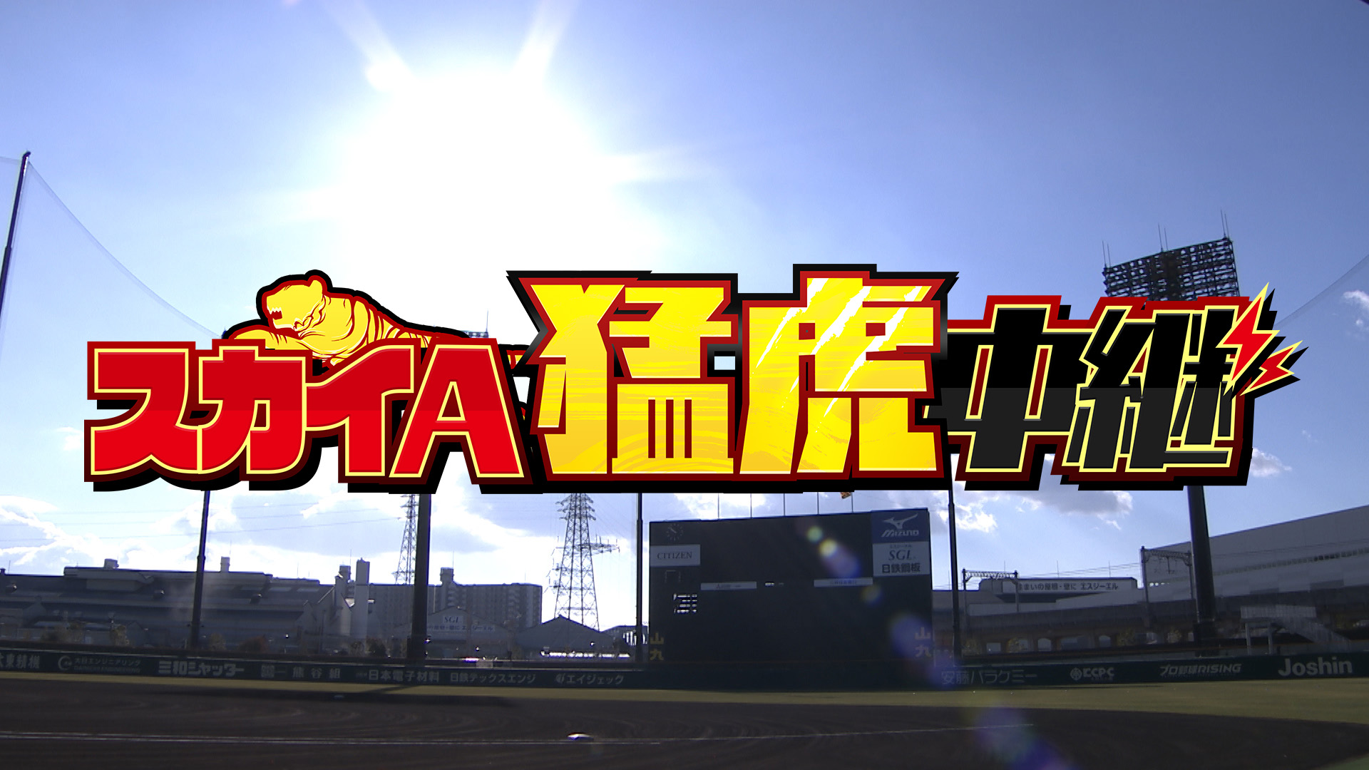 阪神タイガース徹底放送「スカイA猛虎中継」