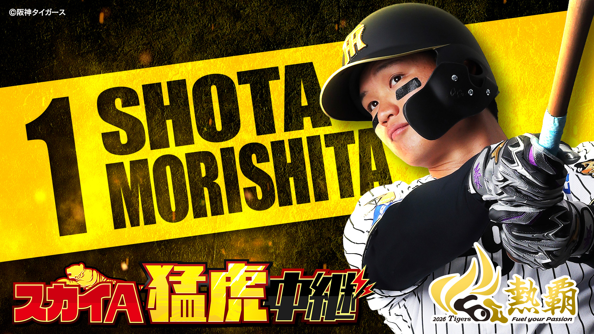 スカイＡ猛虎中継 阪神タイガース 公式戦