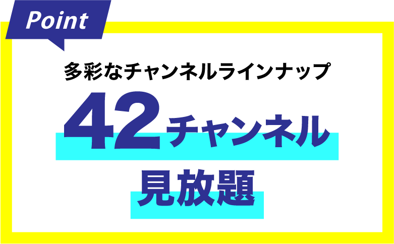 専門チャンネルが42チャンネル見放題